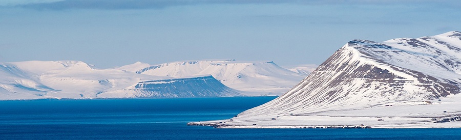 The Snow Crab Dispute in Svalbard
